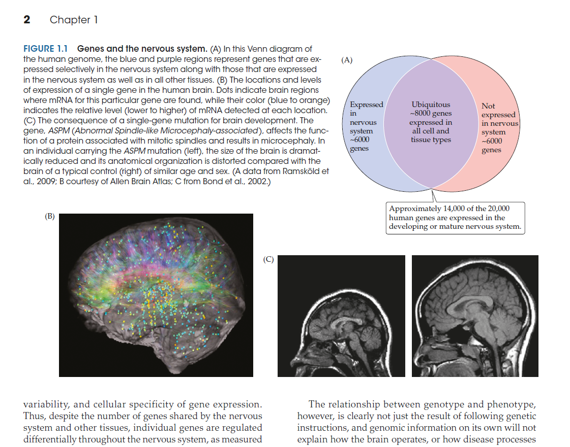 Illustration of a figure group